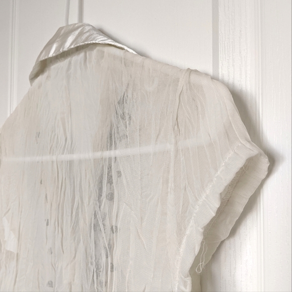 3/$15 Sheer off white vintage blouse with Black leaf Embroidery - Picture 6 of 8